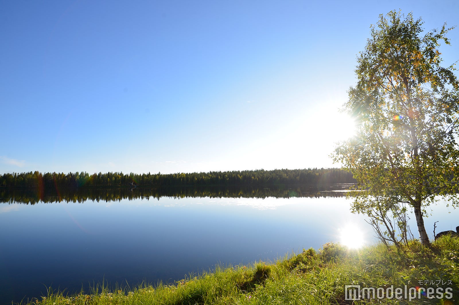 （C）モデルプレス