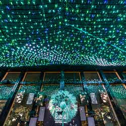 天の川イルミネーション/画像提供:東京タワー