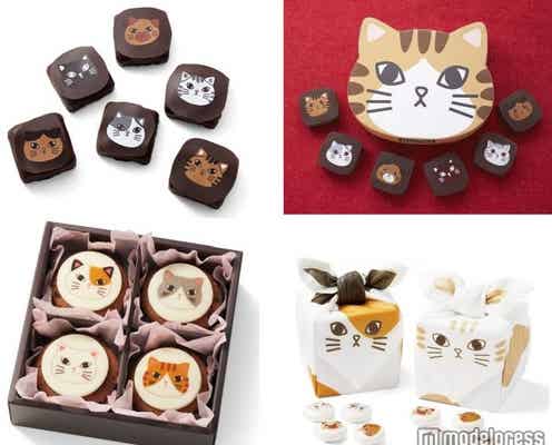 にゃんこに胸キュン!ほっこりとろける“猫チョコ”が登場
