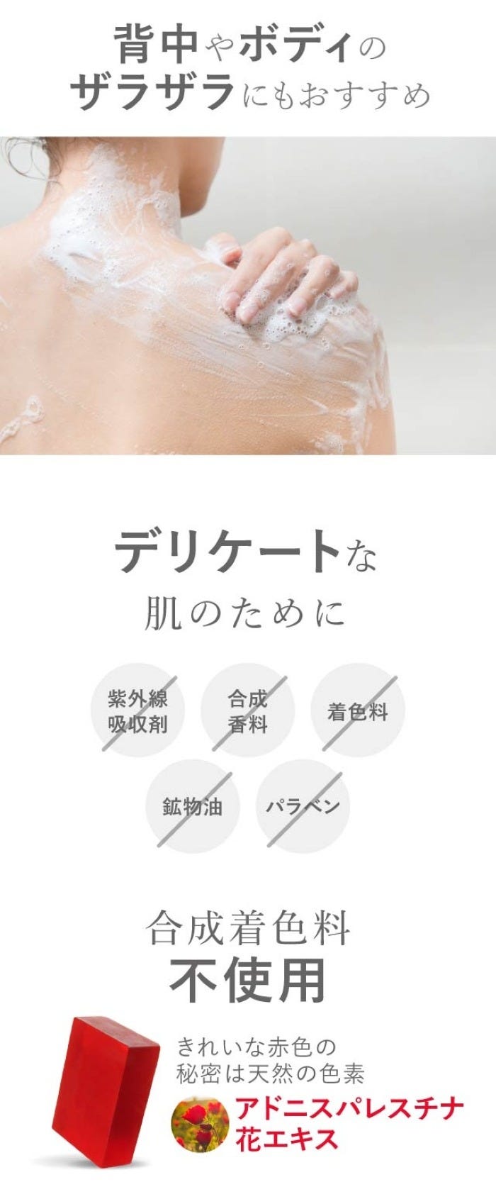 画像13: