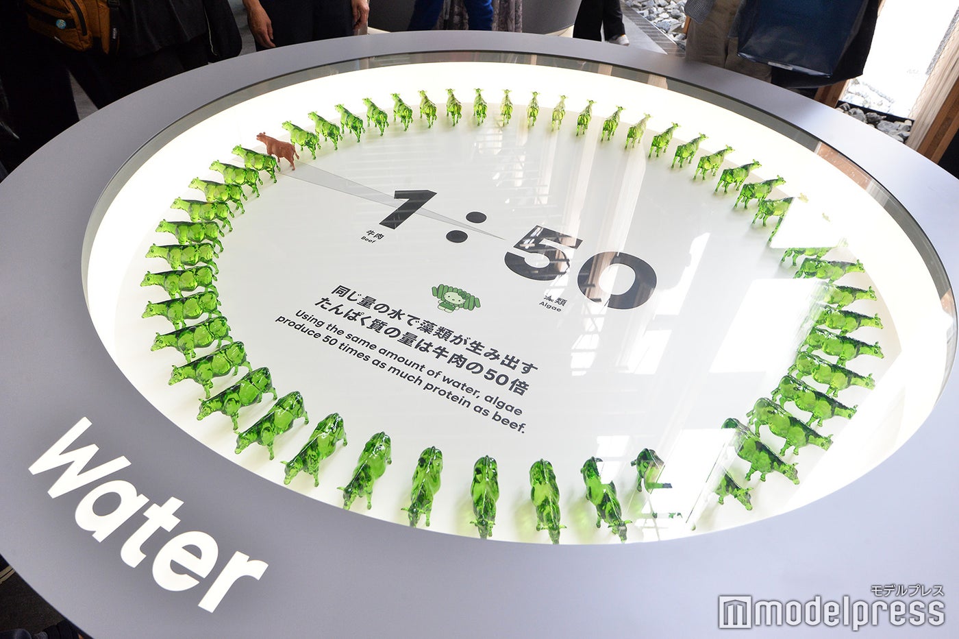 日本館（C）モデルプレス