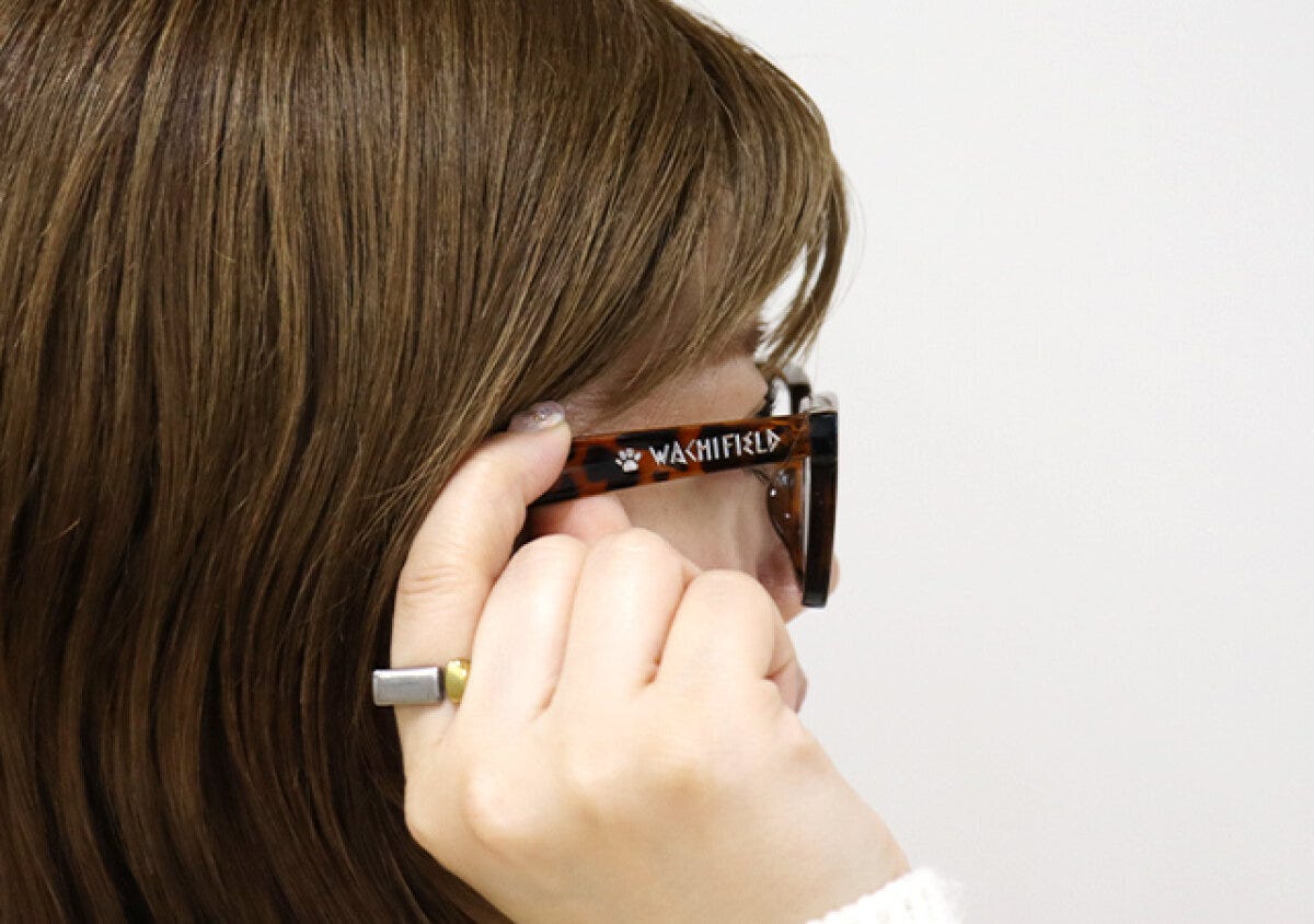 宝島社ムック付録の猫のダヤン