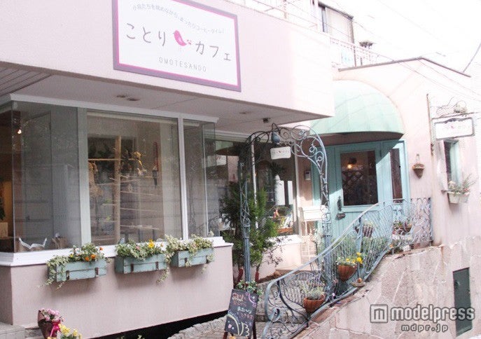 「ことりカフェ表参道」ピンク色の可愛い外観