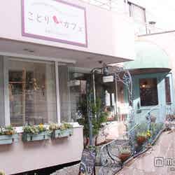 「ことりカフェ表参道」ピンク色の可愛い外観