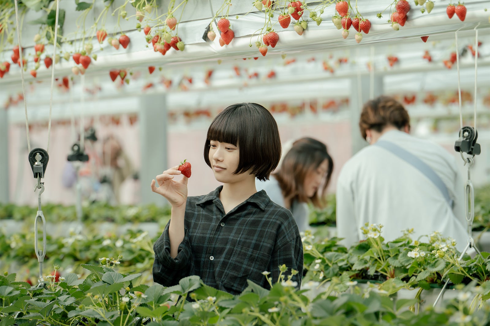 杉咲花「冬のなんかさ、春のなんかね」第10話（C）日本テレビ