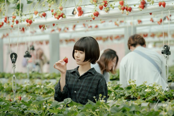 杉咲花「冬のなんかさ、春のなんかね」第10話(C)日本テレビ