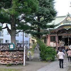 「今戸神社」/photo by yoppy