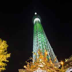 ワイヤーフレームイルミネーション(昨年の様子)(C)TOKYO-SKYTREE