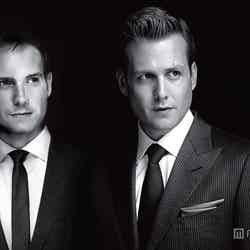 「SUITS／スーツ3」6月9日(月) WOWOW OA／(C)2013 Universal Cable Productions. All Rights Reserved.