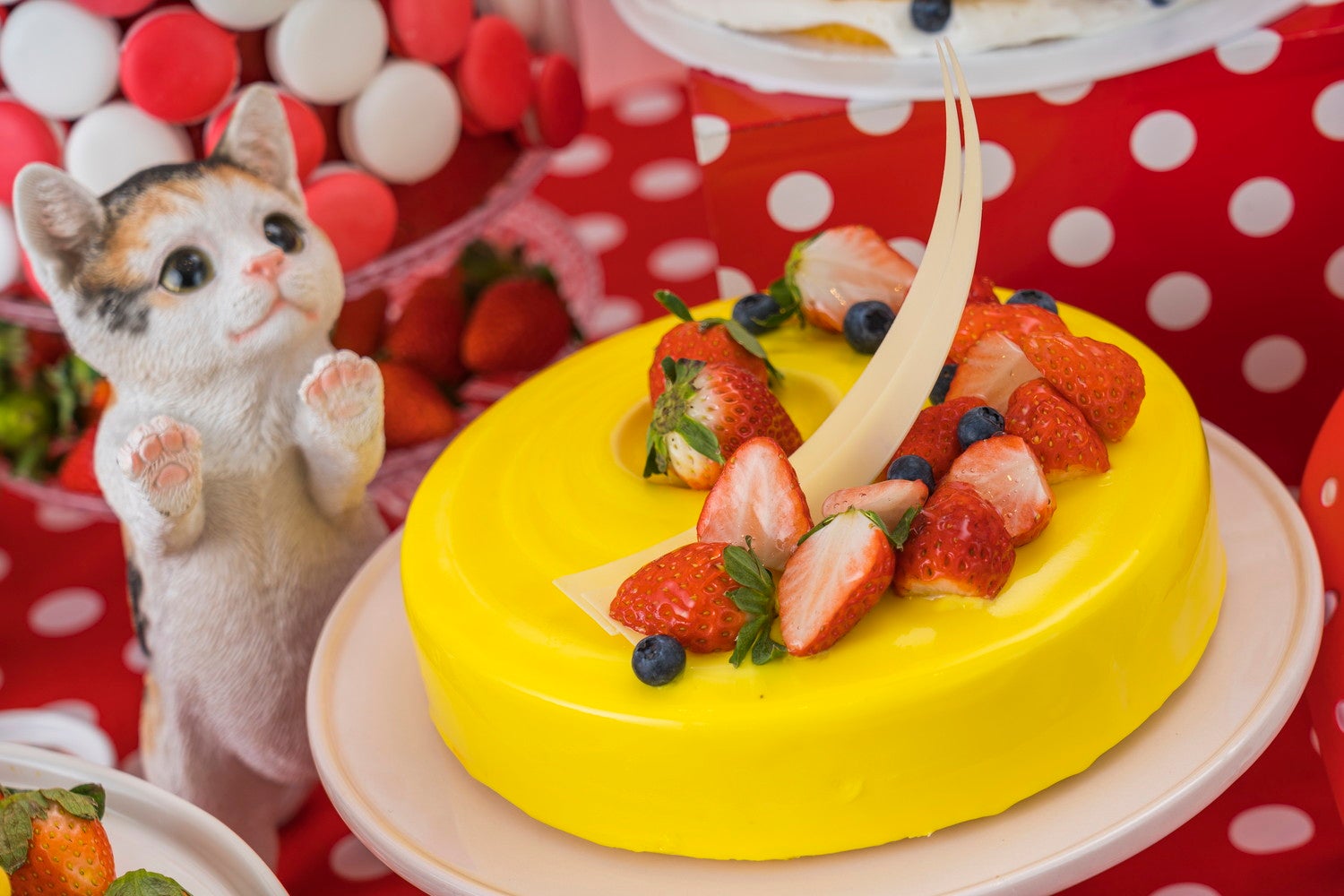 ポルカドット・ストロベリーCATS／画像提供：ヒルトン広島