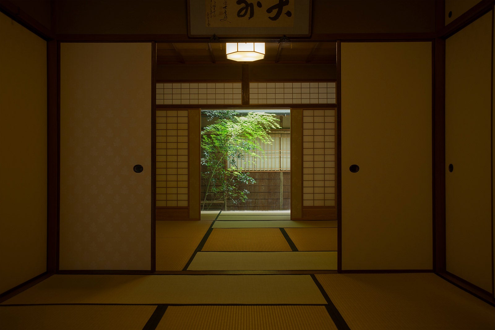 中西松豊軒／画像提供：ART MON ZEN KYOTO