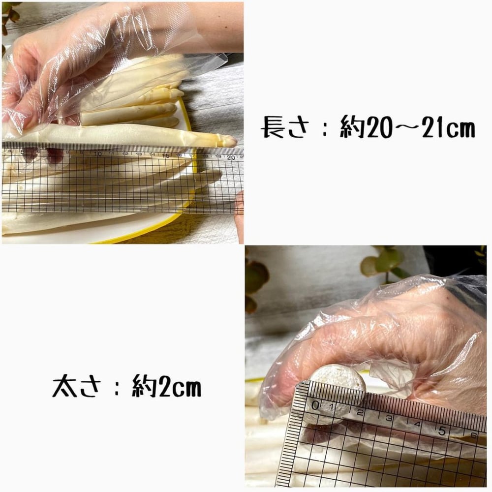 ホワイトアスパラガス