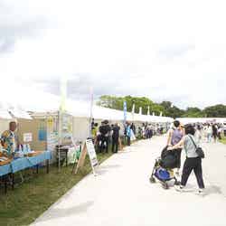 国営ひたち海浜公園/提供画像