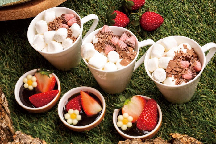 ストロベリーコレクションwith meiji~チョコレートスイーツ×いちご~/画像提供:京王プラザホテル