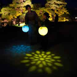 NAKED meets 二条城 2025 夕涼み/提供画像