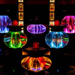 アートアクアリウム城 過去開催時の様子/画像提供:アートアクアリウム城 実行委員会