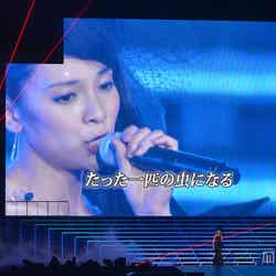 「AKB48 2013 真夏のドームツアー~まだまだ、やらなきゃいけないことがある~」東京ドーム公演1日目より