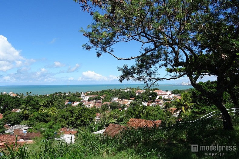 オリンダ風景／画像提供：中京テレビ