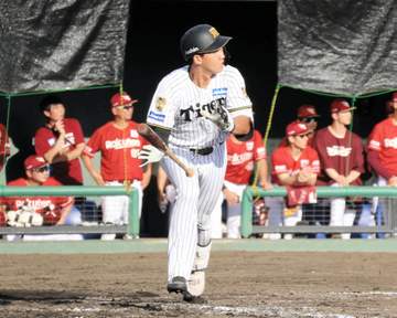 阪神 立石正広が逆転サヨナラ3ラン含む1試合2発！「割り切っていけたのが良かった」“ポスト・佐藤輝”へ「4番・三塁」で猛アピール 宮崎のファンがどよめく
