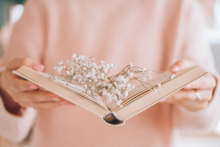 白い花の美しい花言葉一覧 恋愛や感謝を意味する贈り物にも最適な花をご紹介 モデルプレス 白い花の美しい花言葉一覧 恋愛や感謝を意味する贈り物にも最適な花をご紹介 モデルプレス