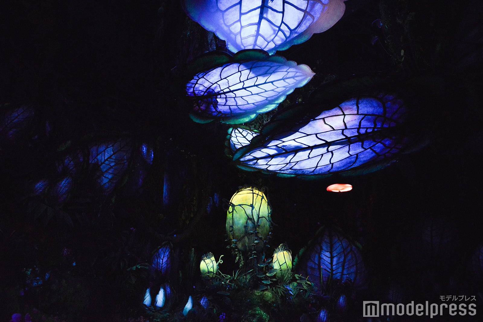 「ナヴィ・リバー・ジャーニー」（C）モデルプレス（C）Fox（C）Disney