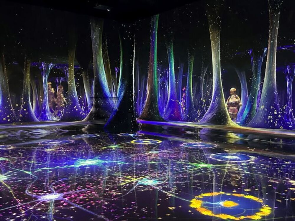 韓国最大の没入型デジタルアート展示館「Le Space INSPIRE」18の