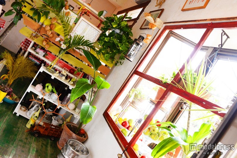緑溢れる「Original キッチン ぐらっちぇ」店内