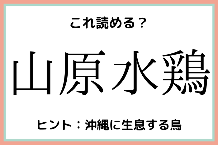 山原水鶏 さんげんみずとり 読めたらスゴイ 鳥の難読漢字 4選 モデルプレス