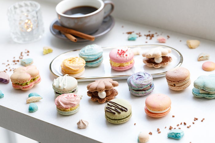 DOTORI／画像提供：BIZESSEI