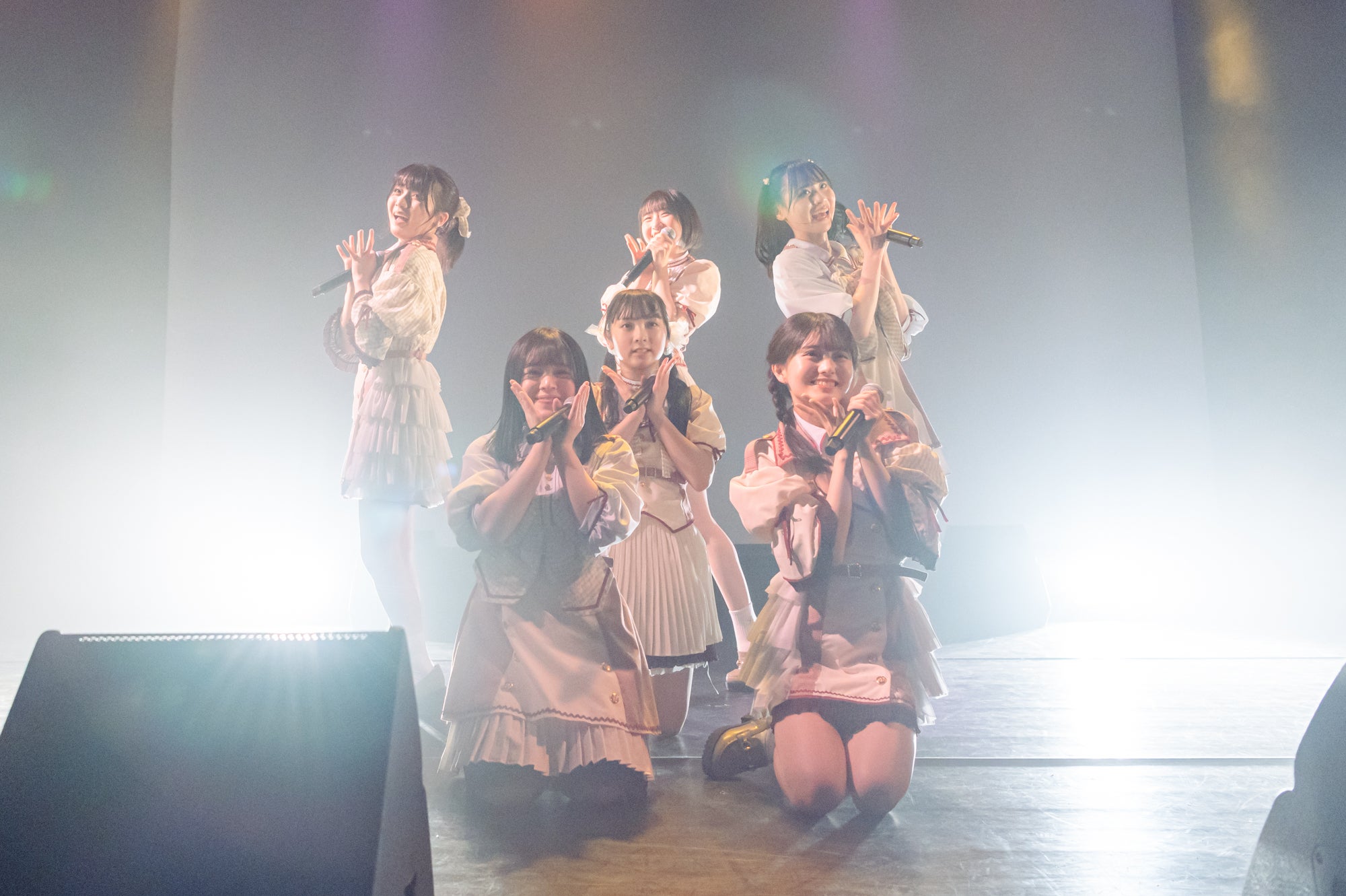 かすみ草とステラ（提供写真）