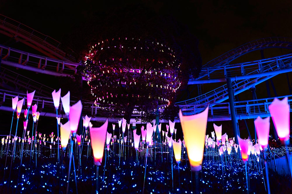 ひらかたパーク／画像提供：京阪電気鉄道