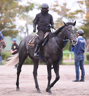 【毎日王冠】リアライズシリウス 再始動戦で古馬一蹴だ 手塚久師「あとは休み明けということだけ」