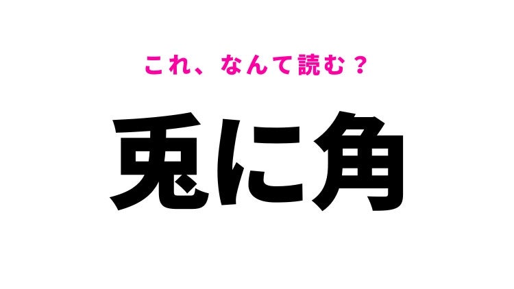 【漢字クイズ】「兎に角」はなんて読む？会話でも使うフレーズ！
