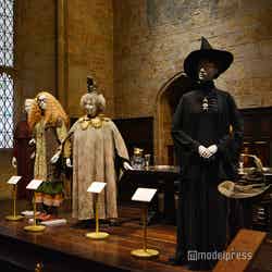 ワーナー ブラザース スタジオツアー東京 ‐ メイキング・オブ・ハリー・ポッター(C)モデルプレス