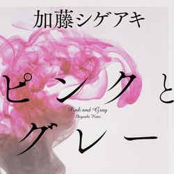 加藤シゲアキ「ピンクとグレー」（角川文庫）（提供画像）