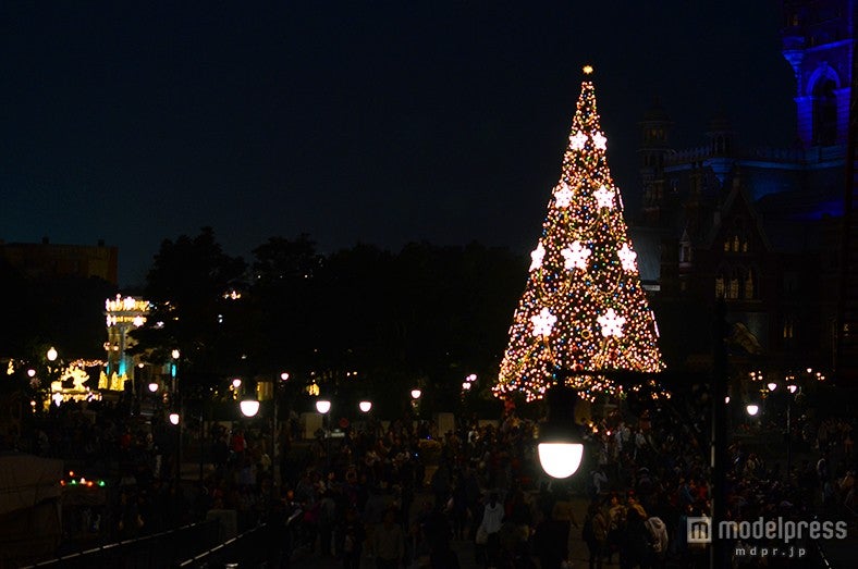 S．S．コロンビア号の前のツリー（夜）