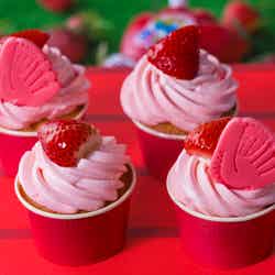 ストロベリー・カープ・ロード 勝鯉への道/提供素材