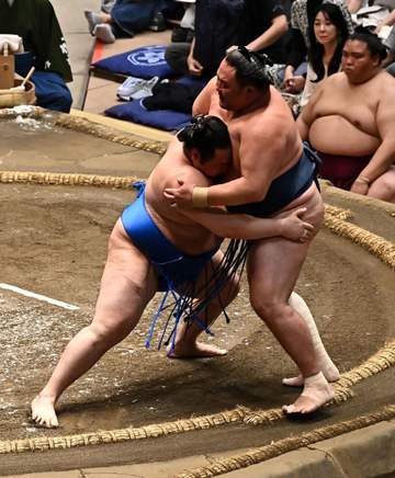 鉄人・玉鷲が十両へ、幕内100場所目で試練も現役続行宣言「幕内に上がるよう次も頑張る」大相撲夏場所