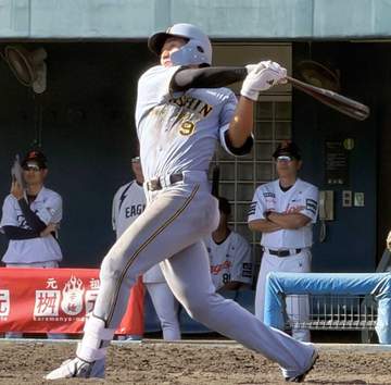 阪神・立石 3戦連続マルチで開花の兆し 三冠王・佐藤輝から刺激「僕も輝さんのようになれたら」
