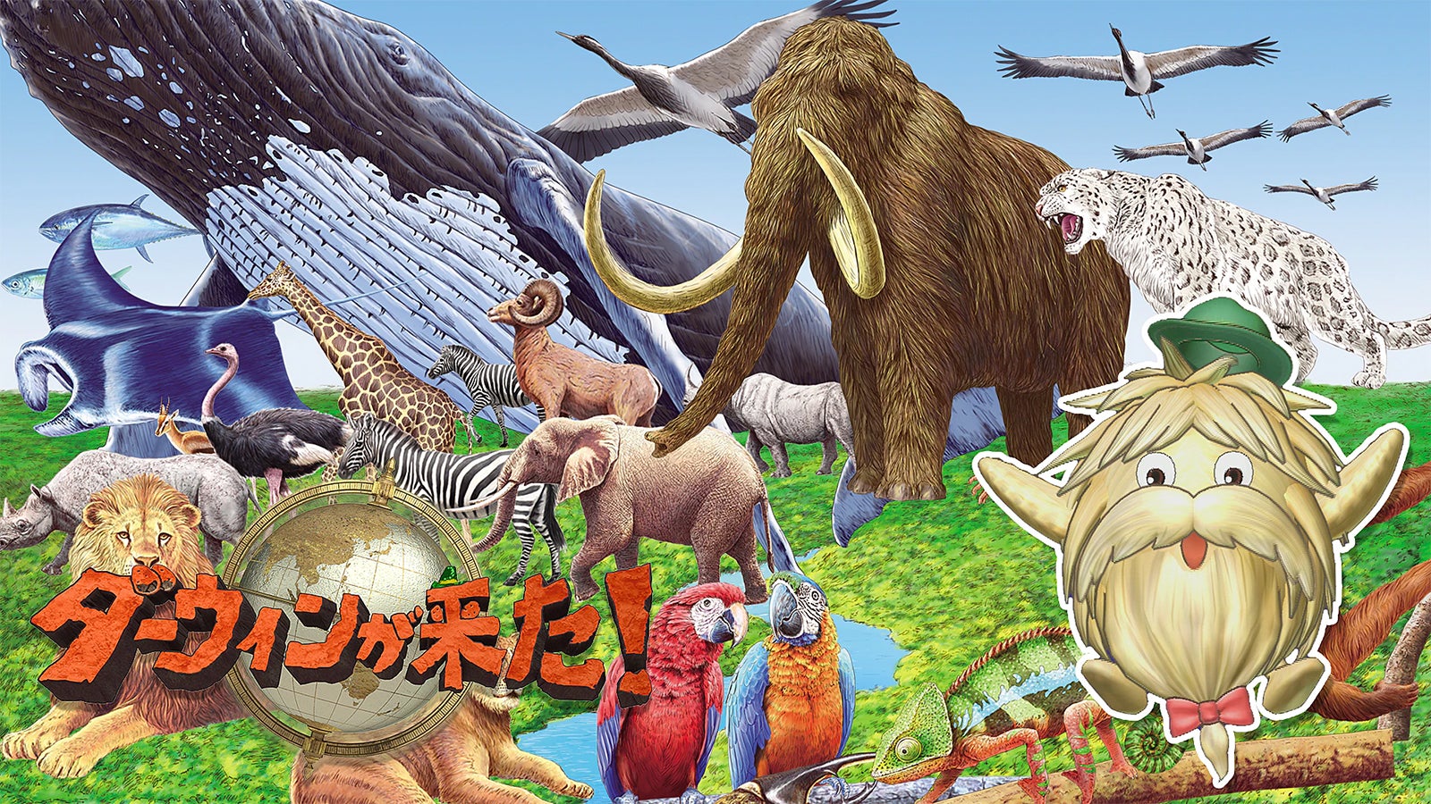 「ダーウィンが来た！」キービジュアル（C）NHK