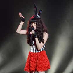 Milky Bunny(益若つばさ)