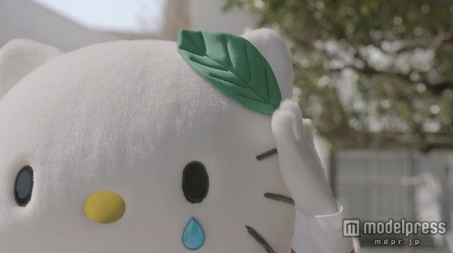 ミスタードーナツ新CM「リボンを探せ」篇より