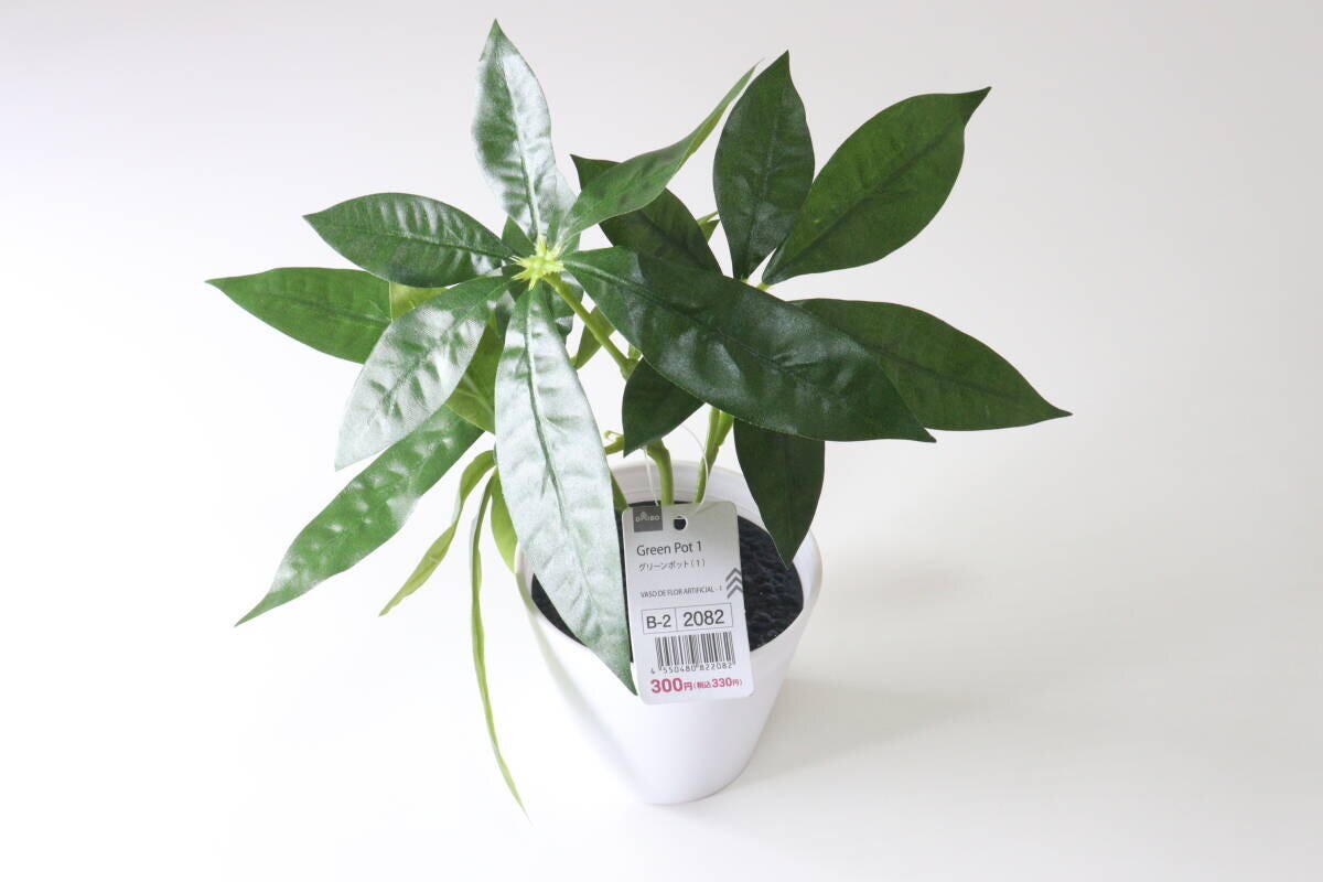 ダイソー　グリーンポット（1）　商品タグ