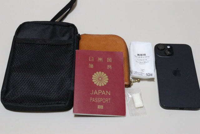 セリアの必需品が入るメッシュポケット付パスポートケース