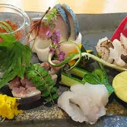 コースはランチ2,200円から、ディナー8,500円から/画像提供:セプテル