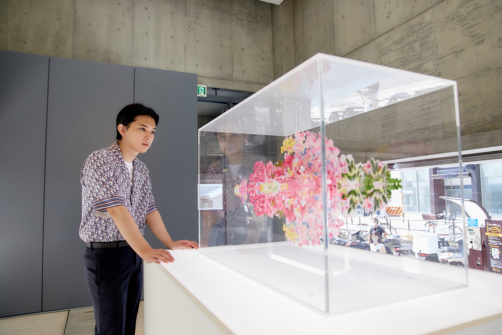 吉沢亮（提供写真）