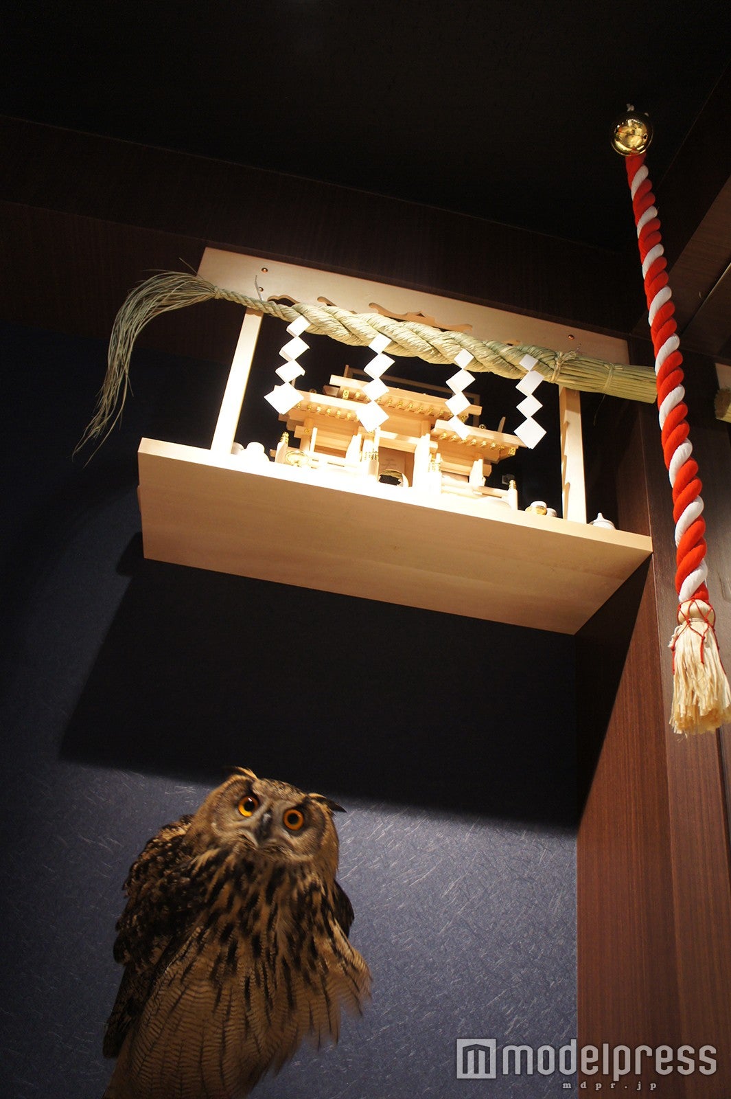 ふくろう神社／画像提供：ナックス