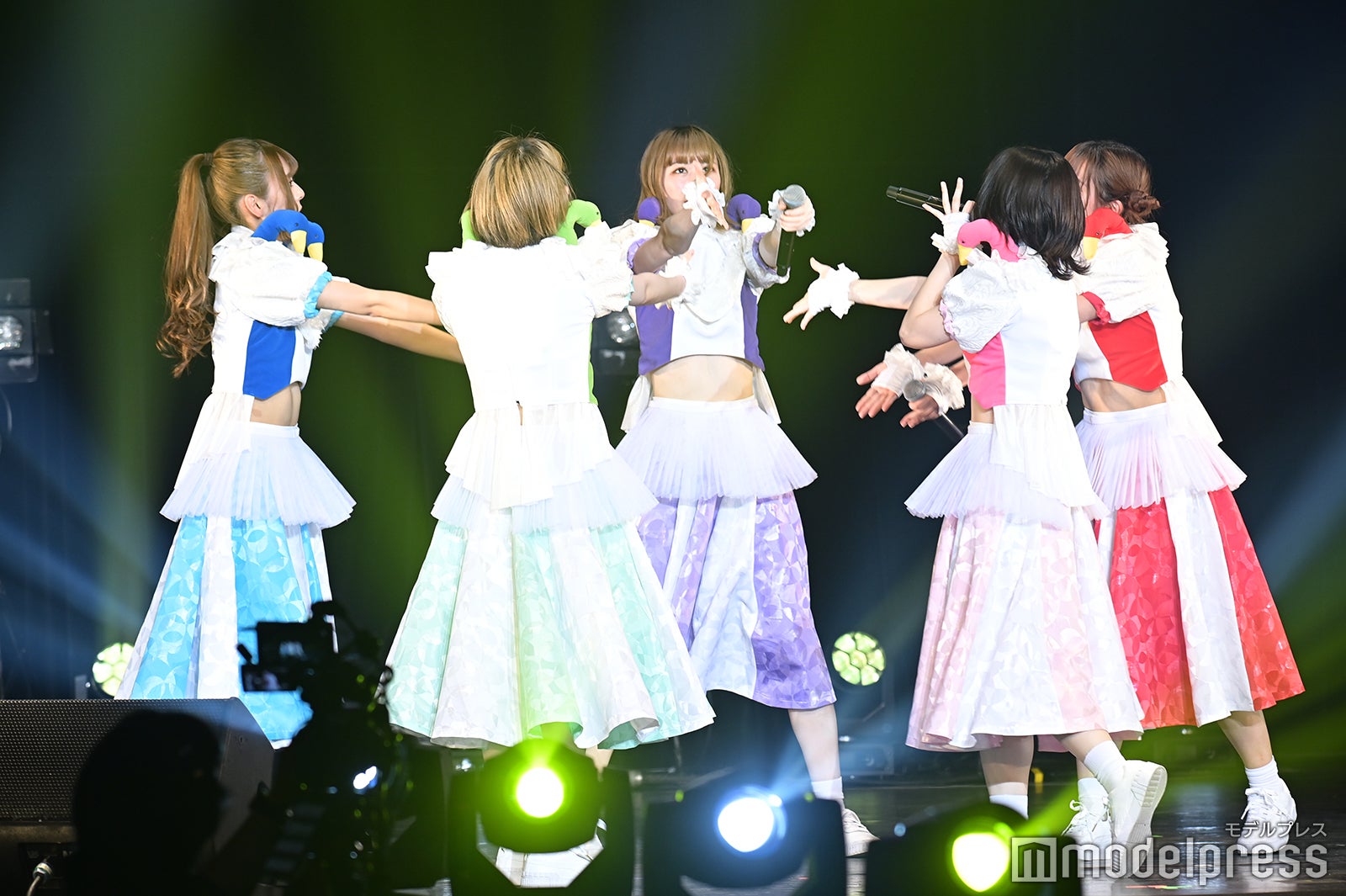 豆柴の大群（C）モデルプレス