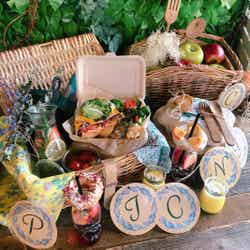 柏原歩のuki-uki cafe(ウキウキカフェ)「おしゃピク Special LunchBox」/画像提供:柏原歩