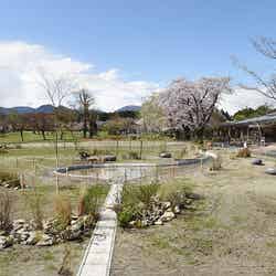 那須千本松牧場/提供画像